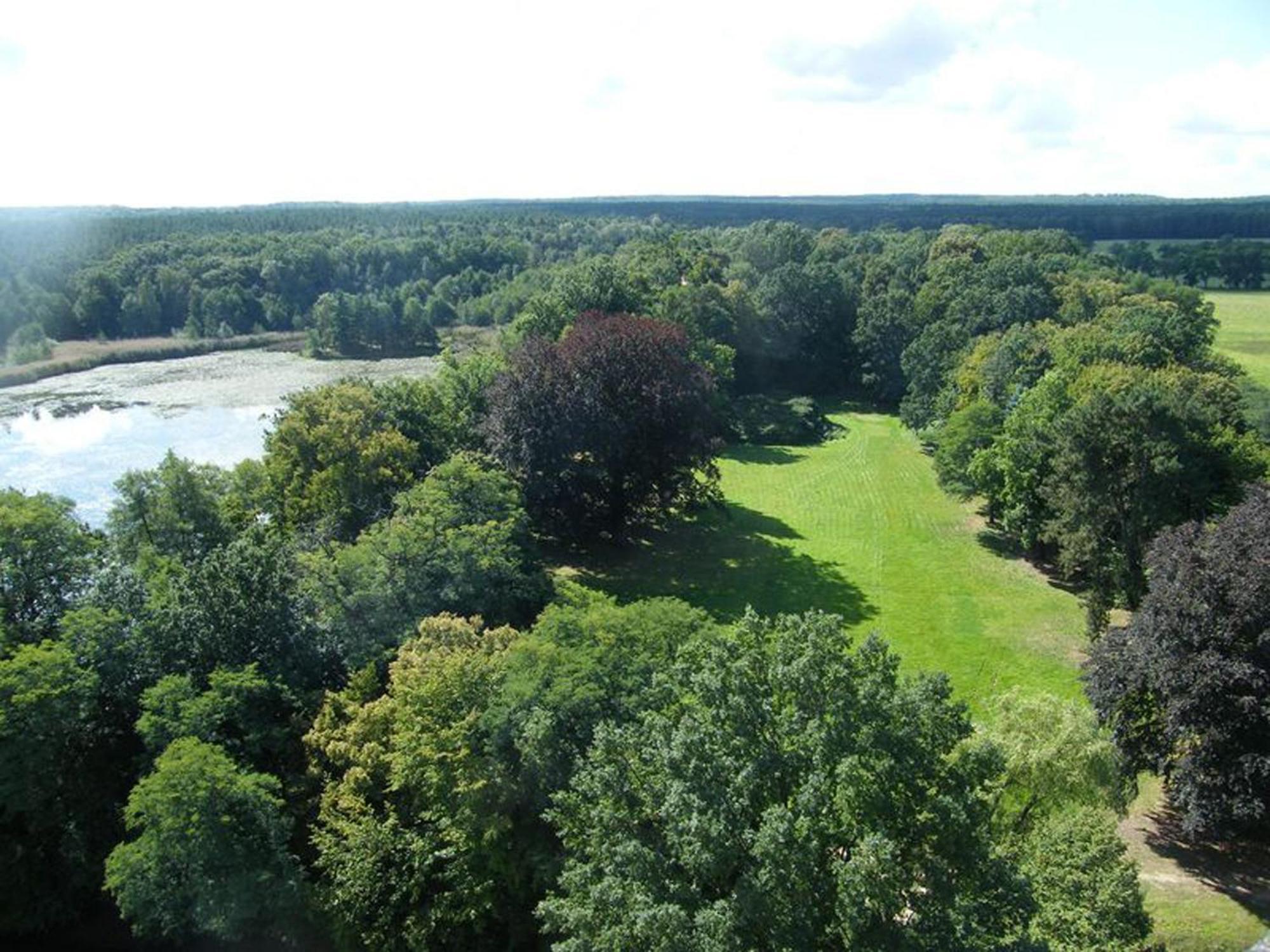 Resort "Schloss Reinharz" Bad Schmiedeberg Dış mekan fotoğraf